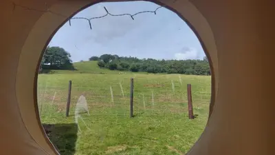 a round window looking at a field with a fence at Yurt Uchaf Off-Grid Glamping in Machynlleth