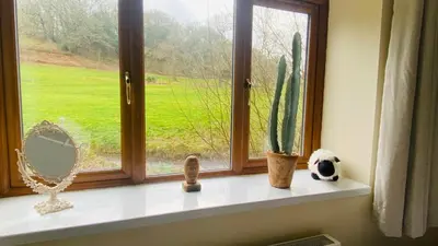 a window with a window sill with cactus and a mirror at MotoCamp Wales - Lodges in Dolgellau