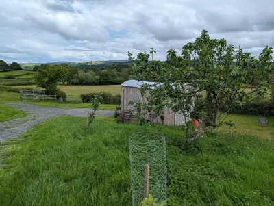a fence in the middle of a field with a barn at Top of the Rock Glamping in Trefeglwys
