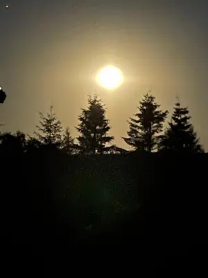 a sunset with trees and the sun in the sky at Pant yr onen holidays in Llandrindod Wells