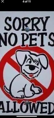 a sign with a dog in a no pets allowed sign at Pant yr onen holidays in Llandrindod Wells