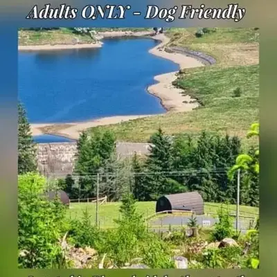 Forester's Retreat Glamping - Dinas View - Vaccinated dogs over the age of 2 are accepted
