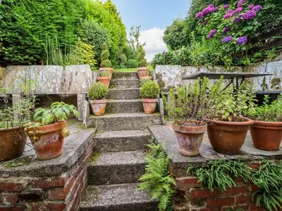 a garden with potted plants on the stairs at Preswylfa in Blaenau-Ffestiniog
