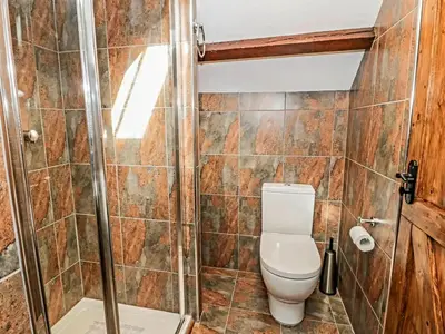 a bathroom with a toilet and a shower at Yr Hen Beudy in Tywyn