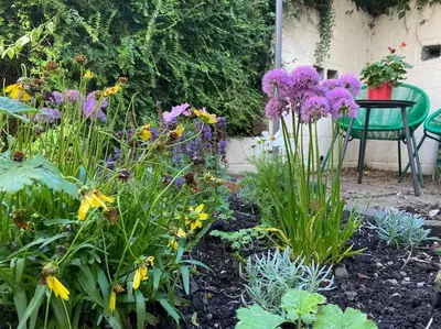 a garden with purple flowers and a table and a chair at Boutique country hideaway ‘Jacks Cottage’ in Diddlebury