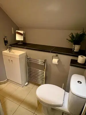 a bathroom with a white toilet and a sink at Cader Mountain View Cottage with Hot Tub in Snowdonia in Dolgellau