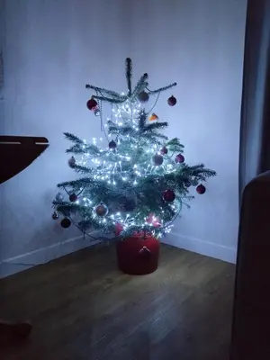 a christmas tree with lights in a room at Avryn - Delightful 3 bedroom cottage with stunning vistas in Mainstone