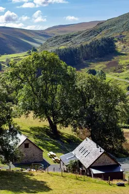 a farm with a barn and a tree in a field at Cwm Clyd - Carthouse in Rhayader