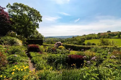 a garden with many different flowers and bushes at Barley Cottage - 5* Cyfie Farm with log burner and private covered hot tub in Llanfyllin