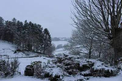 a snow covered field with trees and a body of water at Country Home with Gardens in Newtown