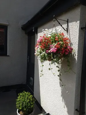 a hanging basket of flowers on the side of a building at The Cob House. in Ifton Heath