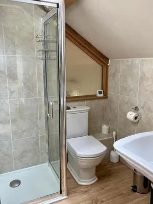 a bathroom with a shower and a toilet and a sink at Baddegai Holiday Cottage in Brecon