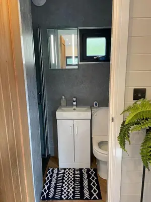a bathroom with a toilet and a sink and a mirror at Berwyn Lodge with private hot tub in Llangollen