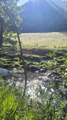 a river in the middle of a field at Ty Golchi - Cosy traditional cottage in Corris in Corris