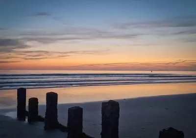 a beach with a group of wooden posts in the sand at Luxury 4 Bedroom Seaside Apartment - Glan Y Werydd House in Barmouth