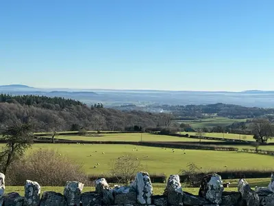 a group of sheep grazing in a field behind a stone wall at 18th Century Farmhouse, England Wales Border, Breathtaking Views in Oswestry
