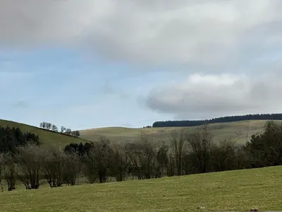 a green field with trees and a hill in the background at Llanidloes Townhouse-pet-friendly-sleeps 7-Mid Wales in Llanidloes