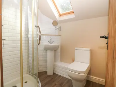 a bathroom with a toilet and a shower and a sink at Tyn Llwyn in Talsarnau