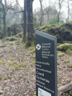 a sign in the middle of a forest at Luxurious Riverside Cottage in Snowdonia National Park in Tanygrisiau
