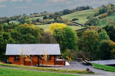 a wooden cabin in the middle of a field at George Cabin - Log Cabin in Wales with Hot tub in Newtown