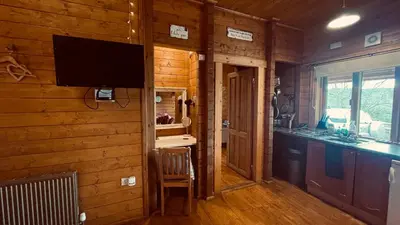 a living room with a television on a wooden wall at Blossom Cabin - Little log Cabin in Wales in Newtown