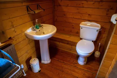 a bathroom with a toilet and a sink at APPLE Cabin - Little Log Cabin in Wales in Newtown