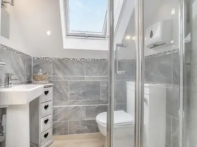 a bathroom with a shower and a toilet and a sink at The Old Nursery in Sennybridge