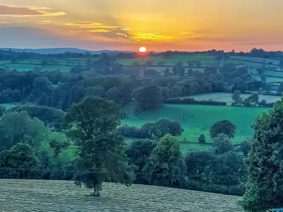 a tree in a field with the sunset in the background at Yr Hen Beudy in Tregaron