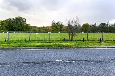 a field of sheep in a field with a fence at Dove Cottage in Newbridge on Wye