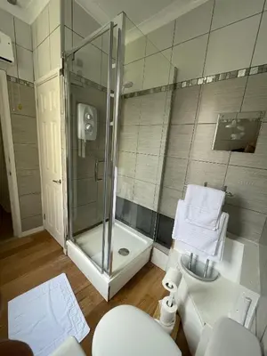 a bathroom with a shower and a toilet and a sink at Flat 2, Ty Newydd in Barmouth