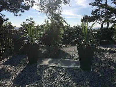 two potted plants sitting on a gravel path at Tre Mynach Barmouth in Barmouth
