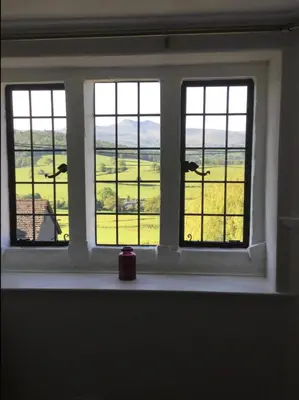 a window with three cows looking out at a field at Cosy Arts & Crafts Cottage with stunning views in Brecon