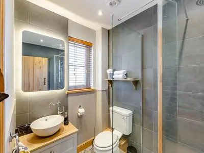 a bathroom with a toilet and a sink and a shower at The Mill in Llandegley