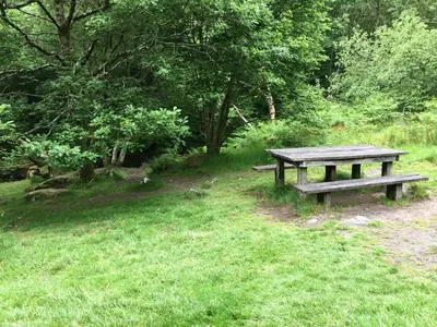 a wooden picnic table sitting in the grass at Beautiful Aberdovey Seafront Apartment 2 in Aberdyfi