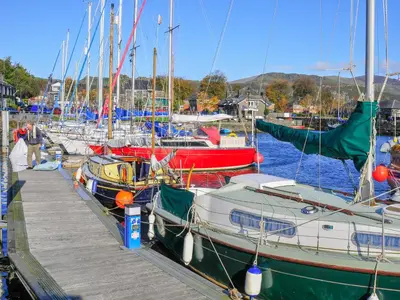 a group of boats docked in a marina at Fron - Cottage in Mynfford
