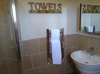 a bathroom with a toilet and a sink and a mirror at Wern Ddu, Defynnog - Brecon Beacons in Brecon