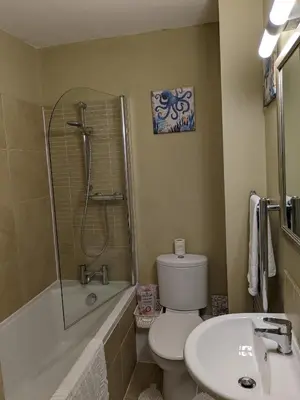 a bathroom with a toilet and a sink and a shower at Pier View Sea View Apartment Aberystwyth Promenade in Aberystwyth