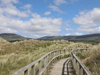 a wooden boardwalk in the middle of a field at Ty'n y Clawdd in Dyffryn