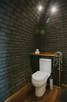 a bathroom with a white toilet in a brick wall at Otters View in Rhayader