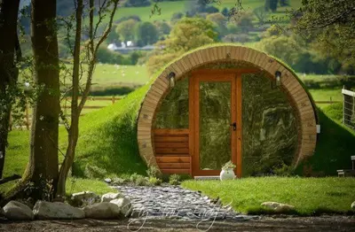 a dog sitting in front of a wooden door at Panteg in Llanrhaeadr-ym-Mochnant