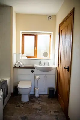 a bathroom with a toilet and a sink and a window at Pentre Fach in Llanddewi Ystradenny