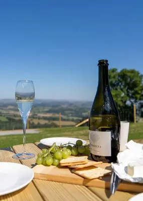 a bottle of wine sitting next to a plate of grapes at Valley View in Llanfair Caereinion