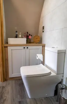 a bathroom with a white toilet and a sink at Valley View in Llanfair Caereinion