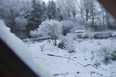 a view of a snow covered field with trees at The Hen Den in Ludlow
