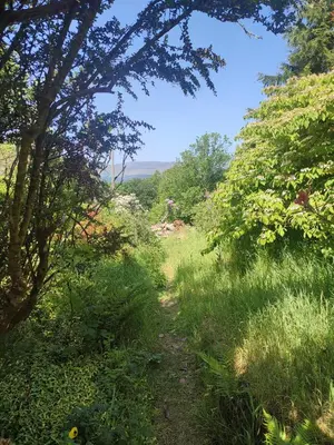 a path through a field with trees and grass at Y Cwtch - Panoramic mountain views within Snowdonia's National Park - 4x4 only in Dolgellau