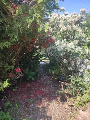 a garden with flowers and trees and a path at Y Cwtch - Panoramic mountain views within Snowdonia's National Park - 4x4 only in Dolgellau