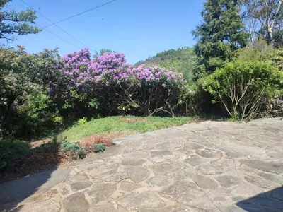 a stone path with purple flowers on a hill at Y Cwtch - Panoramic mountain views within Snowdonia's National Park - 4x4 only in Dolgellau