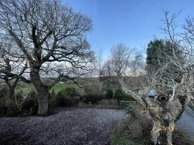 a yard with a tree and a river at Upper Gelli Luxury Holiday Lodge, Converted Dairy & Cosy Shepherds Huts in Welshpool