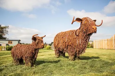 two statues of cows standing in a field at Daffodil in Rhayader