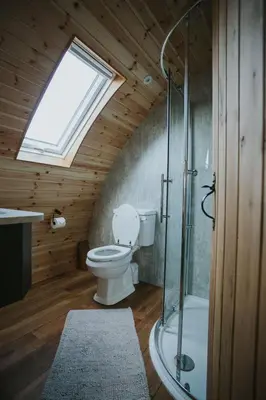 a bathroom with a toilet and a shower and a skylight at Daffodil in Rhayader